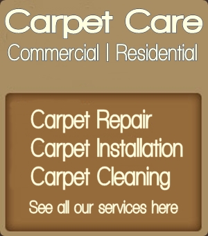 Carpet cleaning in Omaha NE